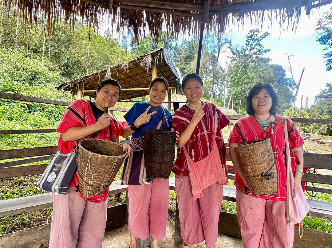 Karen Tribe Native Elephant-清迈必去景点