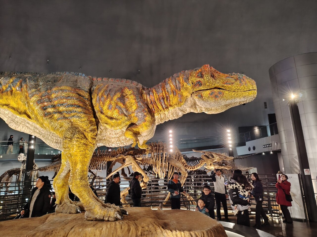 Fukui Prefectural Dinosaur Museum-胜山市必去景点