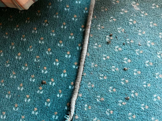 Warrenmang Winery & Resort主图