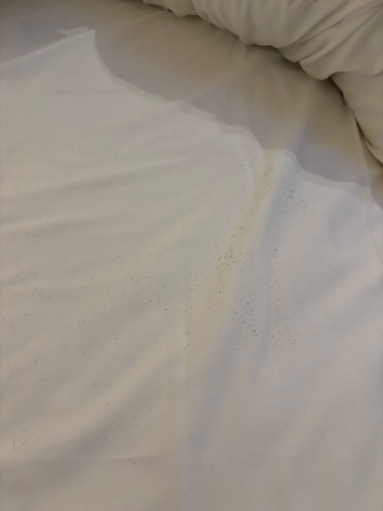 Boutique Hotel Weesp-官方