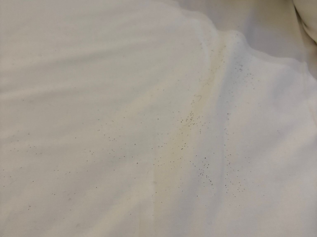 Boutique Hotel Weesp主图