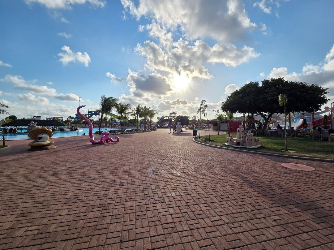 Acquaventura-Tamandare必去景点