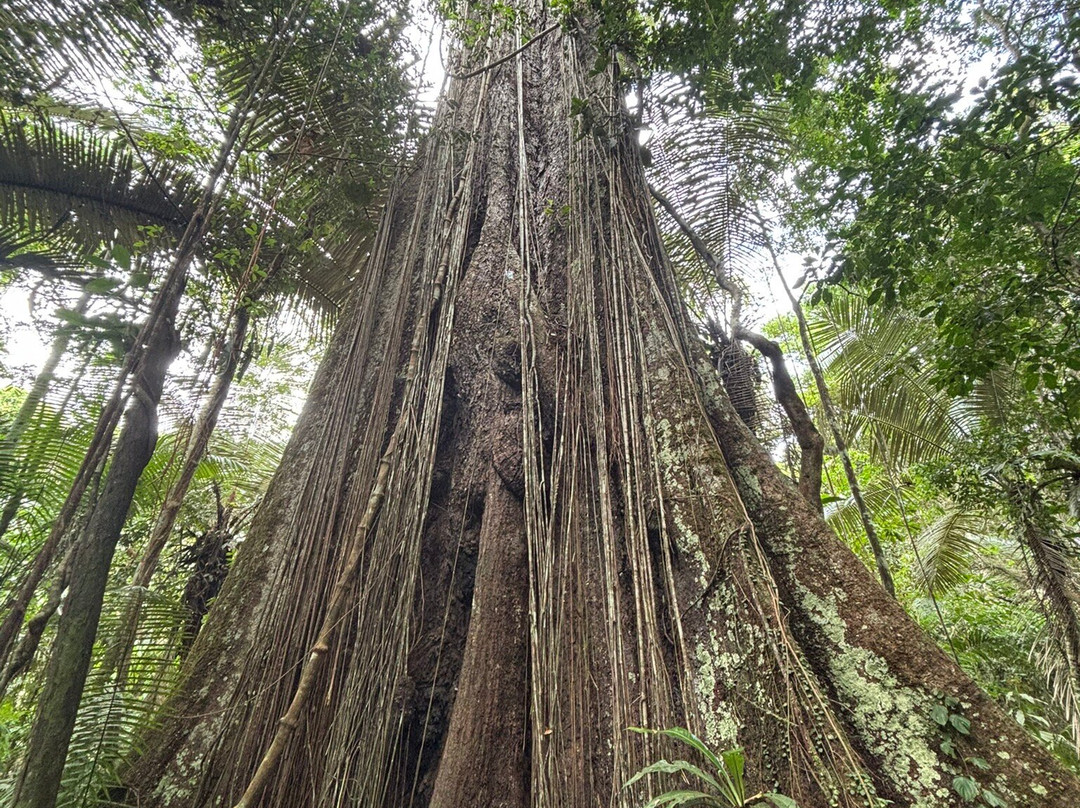 Amazon Experience-伊基托斯必去景点
