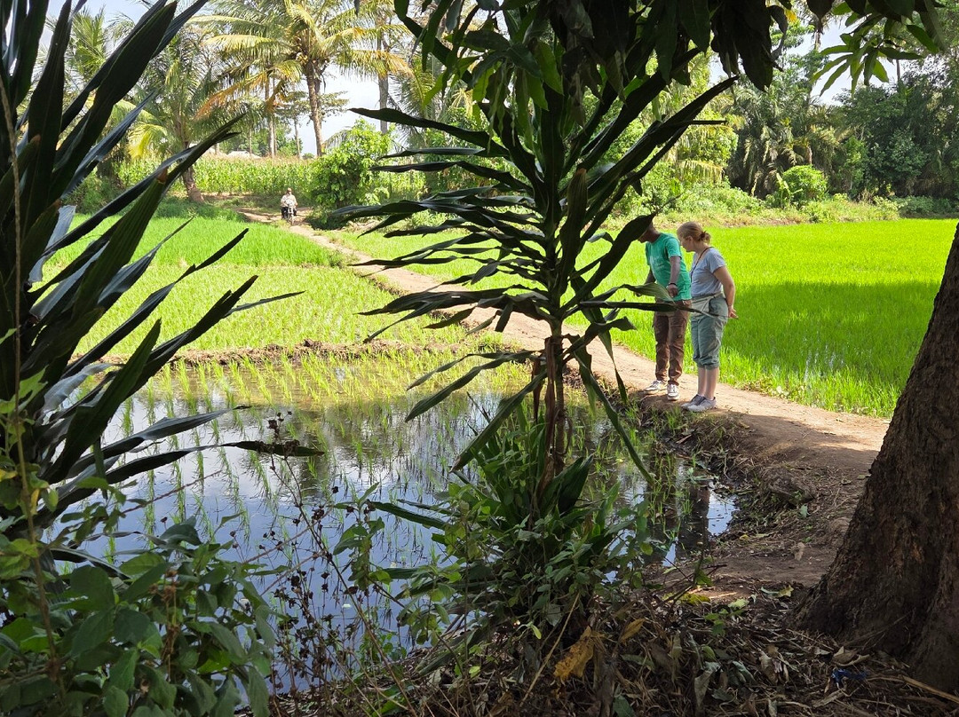 Rau Eco & Cultural Tourism Enterprise-莫西必去景点