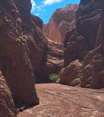 El Cajoncillo, Cafayate, Salta.-San Carlos必去景点