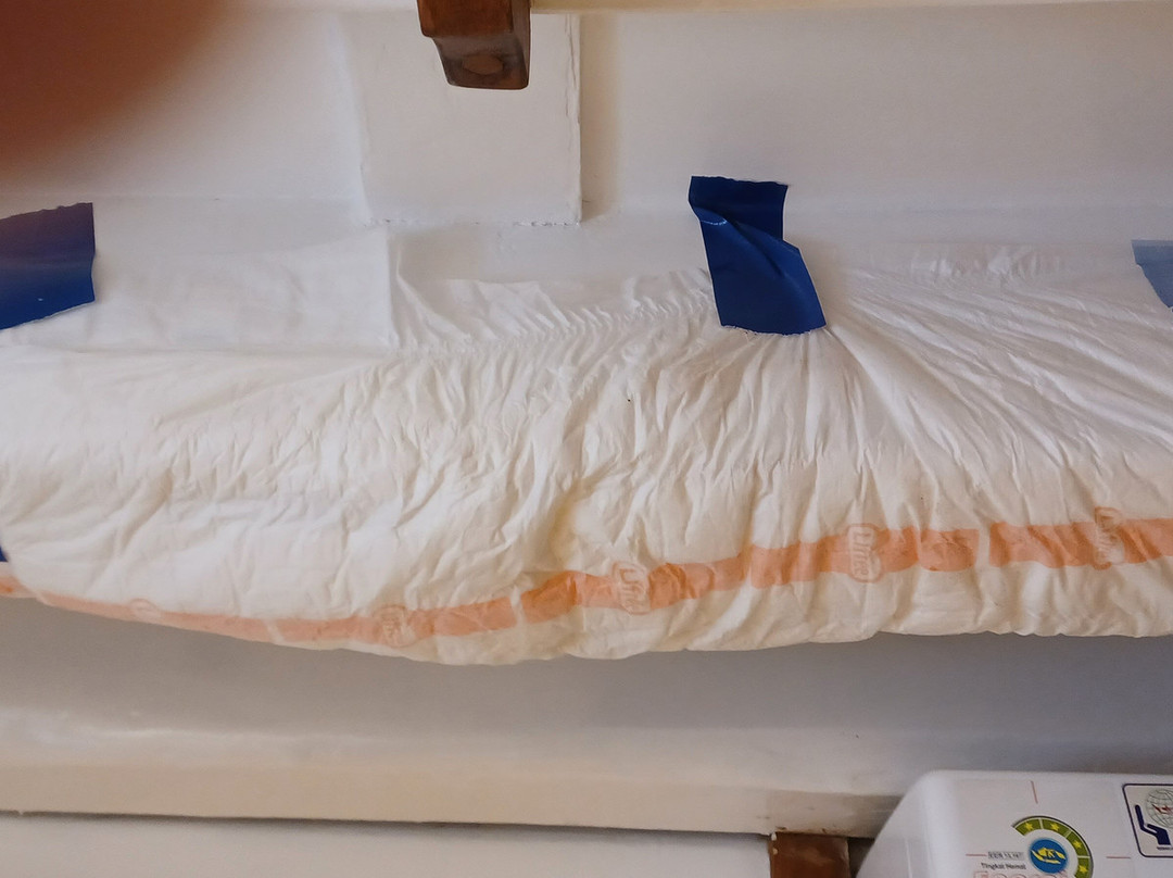 Wallacea Dive Cruises-索龙必去景点