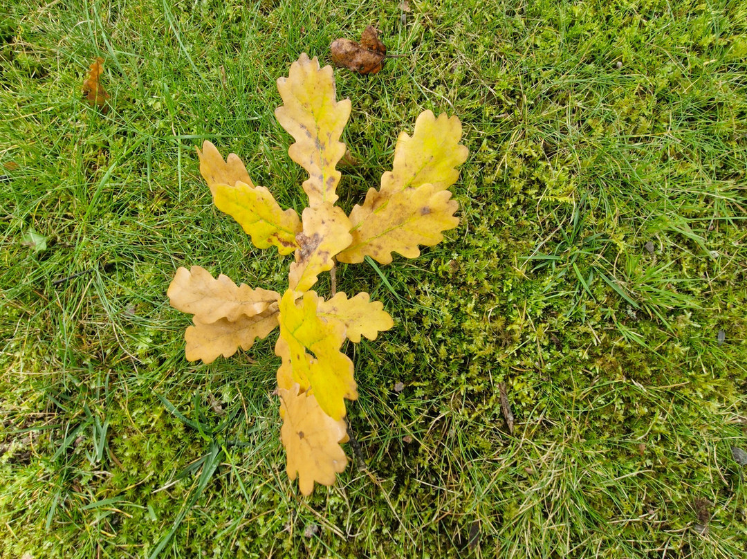 ExpertTour-圣彼得堡必去景点