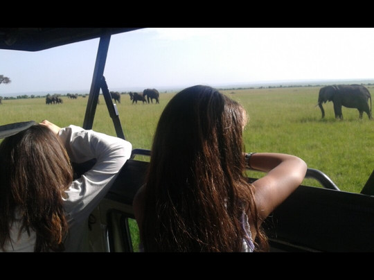 Tazama Africa Holidays-内罗毕必去景点