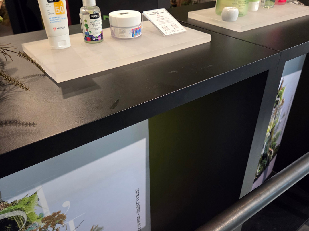 B The B-首尔必去景点