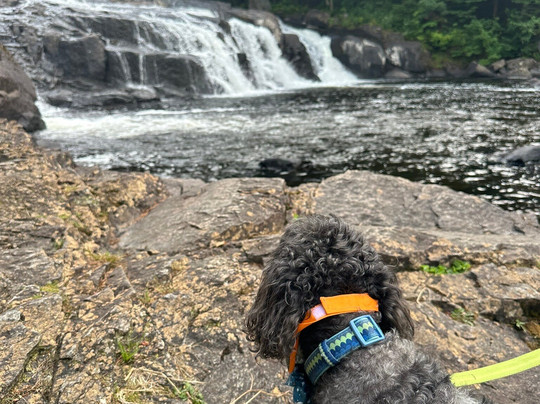 Buttermilk Falls-Long Lake必去景点