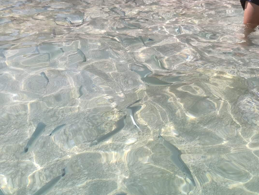 卡拉马里奥路海滩-Baunei必去景点