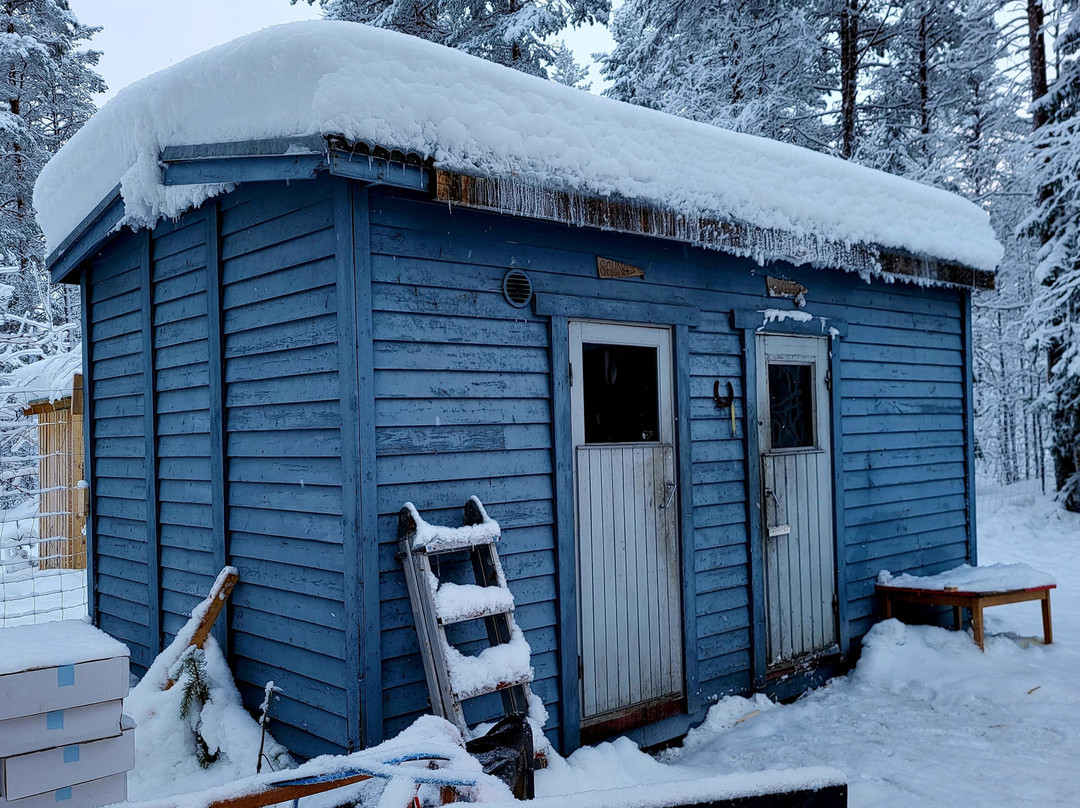 Arctic GM Experiences OY-罗瓦涅米必去景点