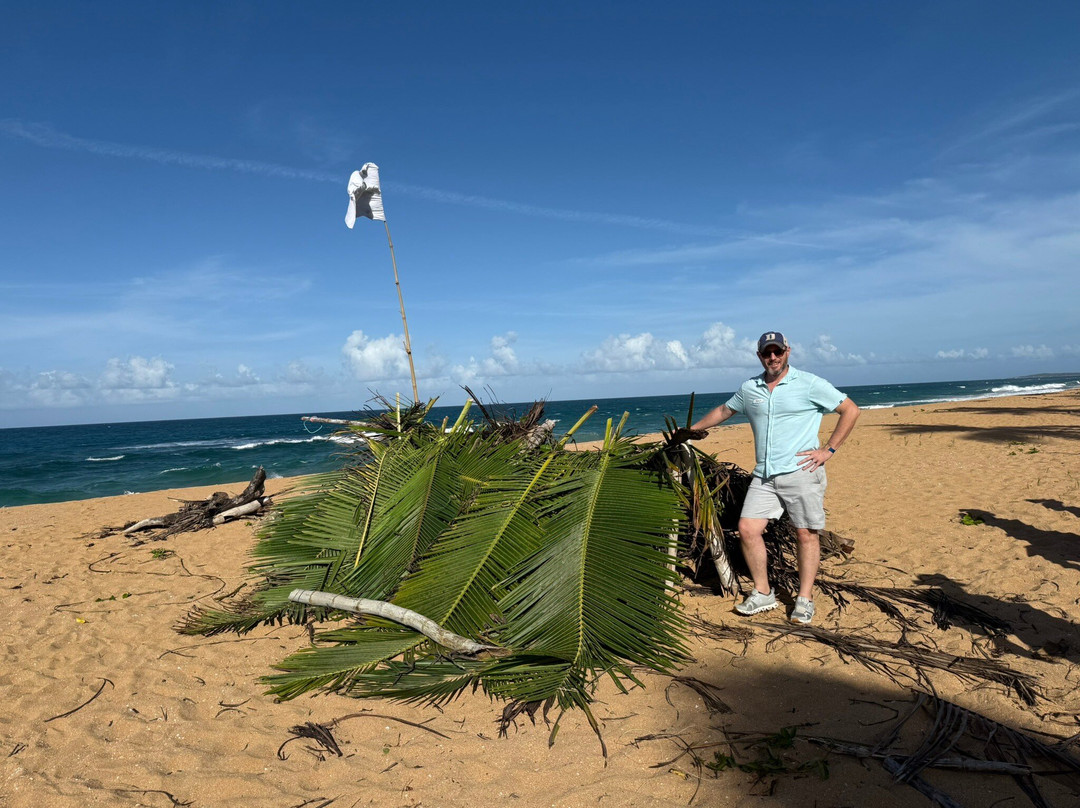 Coconut Revolution 101-圣胡安必去景点