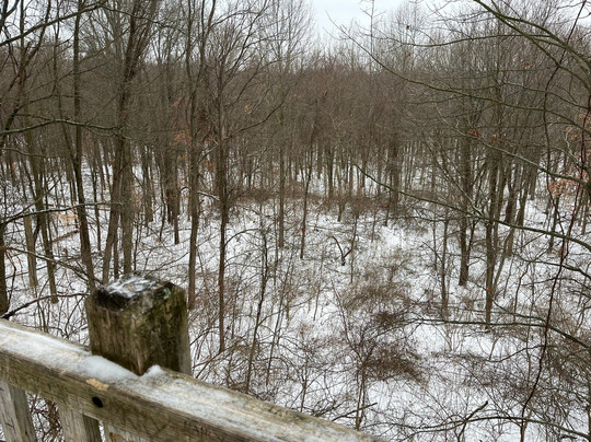 Pokagon State Park-安哥拉必去景点