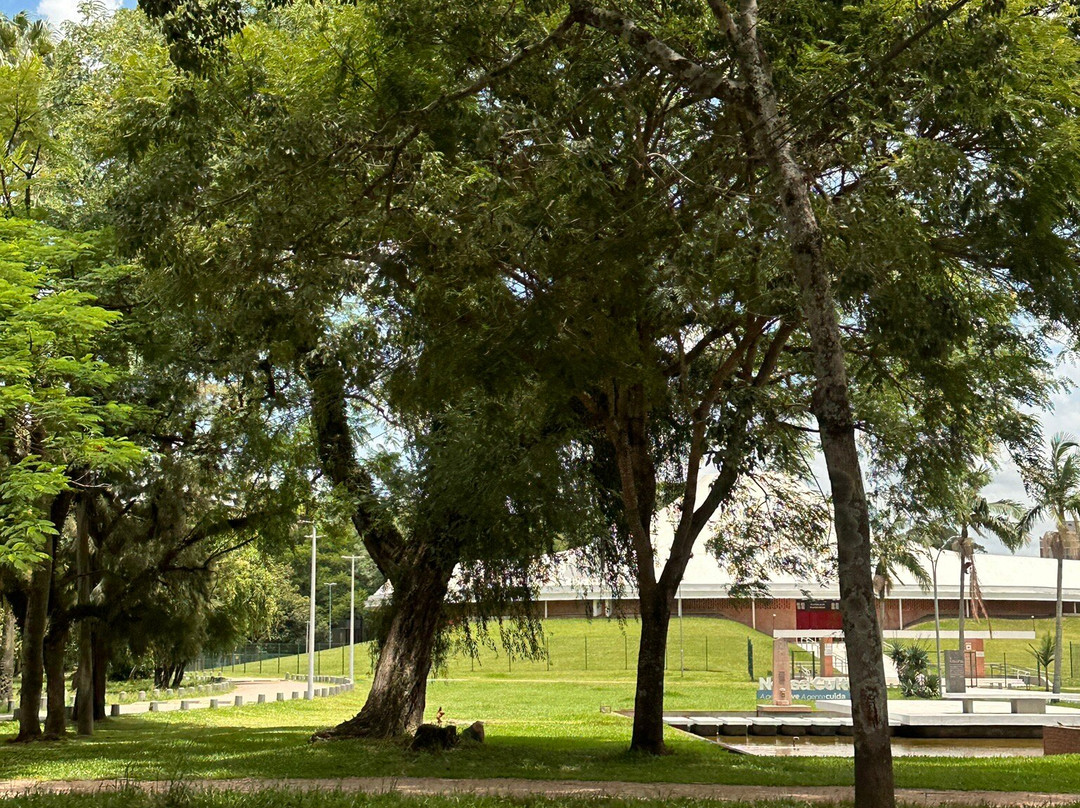 法鲁皮尔哈公园 (RedenÃ§Ã£o)-阿雷格里港必去景点