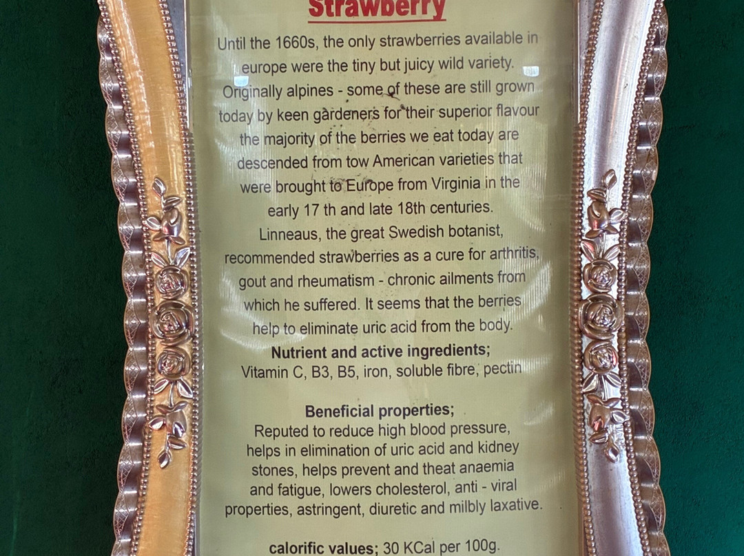 Ceylon Links Tours-Rathgama必去景点