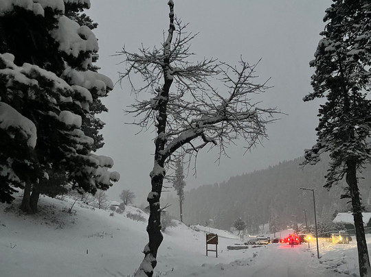 Discover Gulmarg Adventures-贡马必去景点