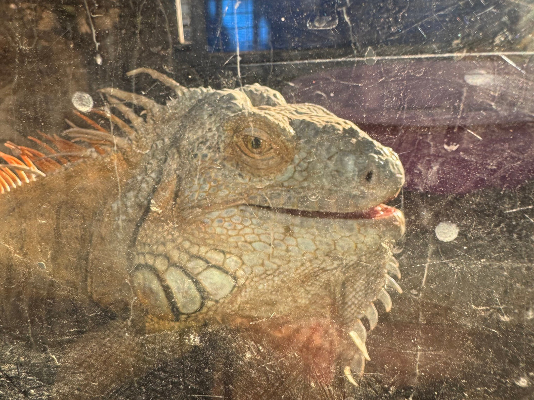 Hurghada Grand Aquarium-赫尔格达必去景点