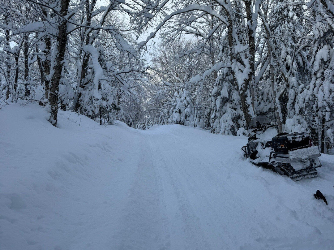 Nord Expe-Sainte Brigitte de Laval必去景点