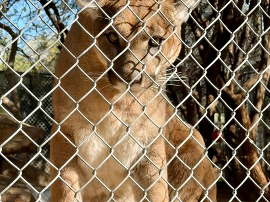 Southwest Wildlife Conservation Center-斯科茨代尔必去景点