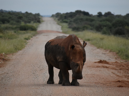 EverseenAfrica-霍德斯普鲁特必去景点