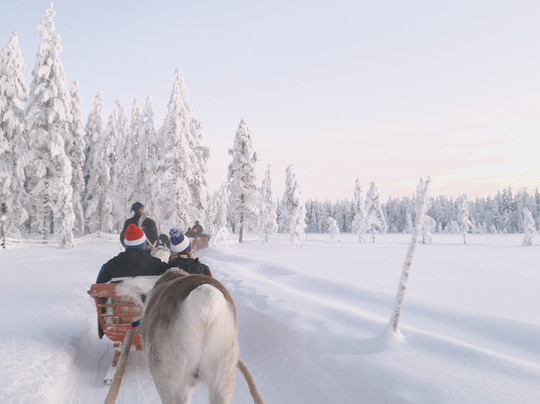 Lapland Safaris Yllas-Akaslompolo必去景点