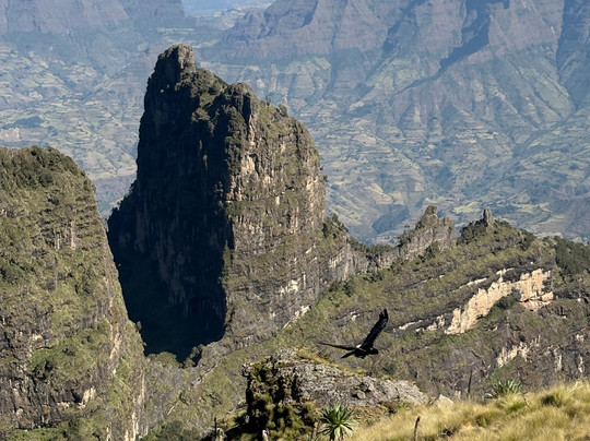 Ethio Wildlife Tours-Dalol必去景点