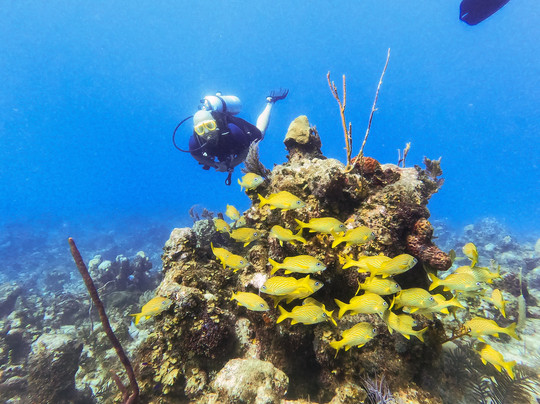 Aqua TCI-普罗维登西亚莱斯必去景点