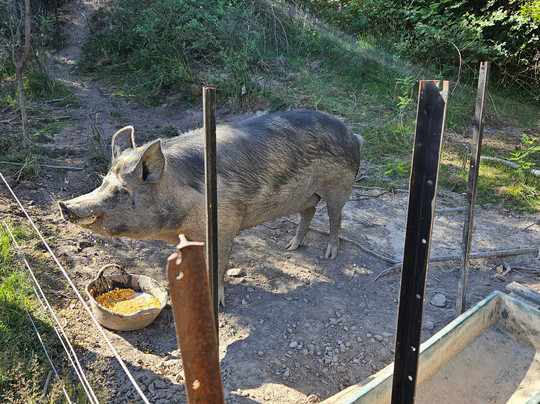 哈姆雷特丘陵地区住宿主图