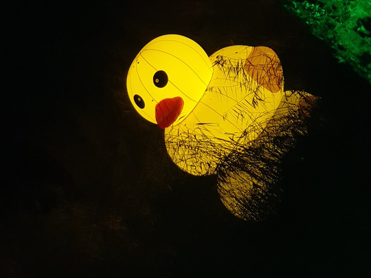 Maximilianpark-Hamm必去景点