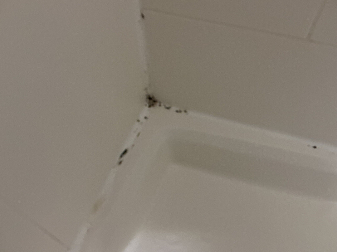 罗利核桃溪舒适套房酒店主图