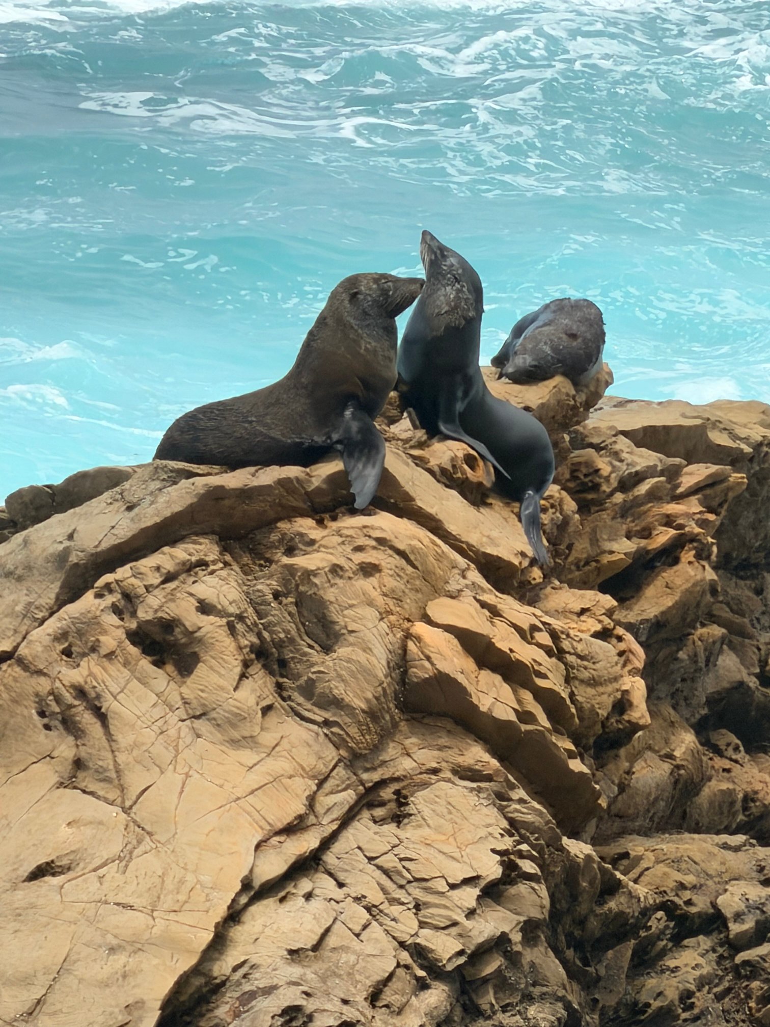 Harbourview House-官方