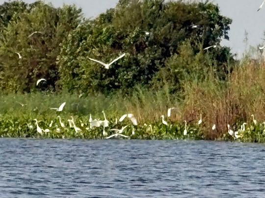 SVC野生动物保护区-暹粒必去景点