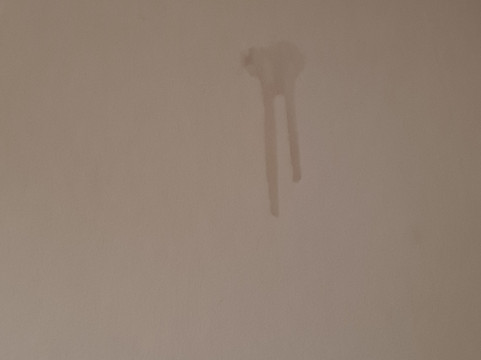 晚安皇家酒店主图