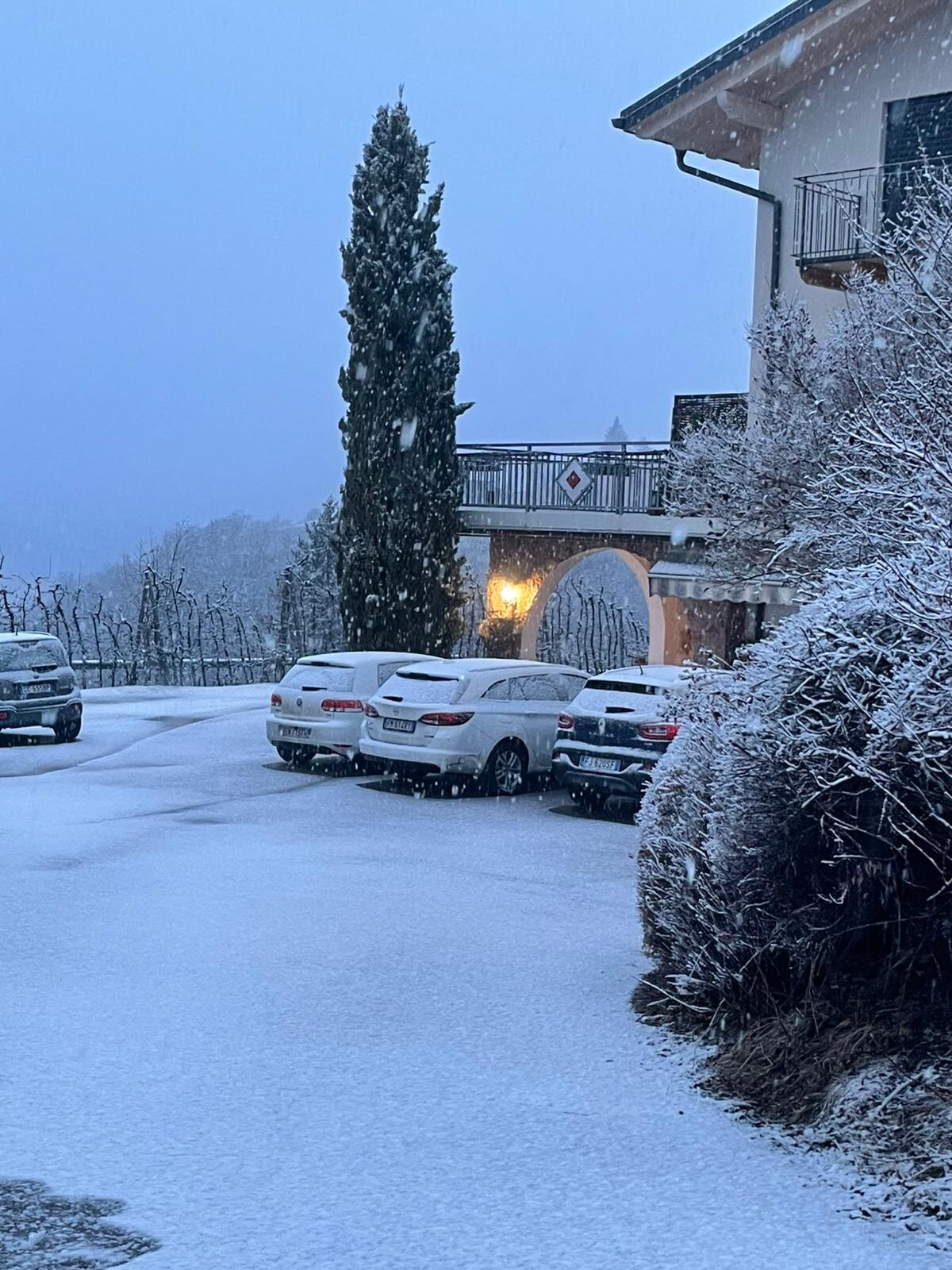 Agritur Casamela-官方