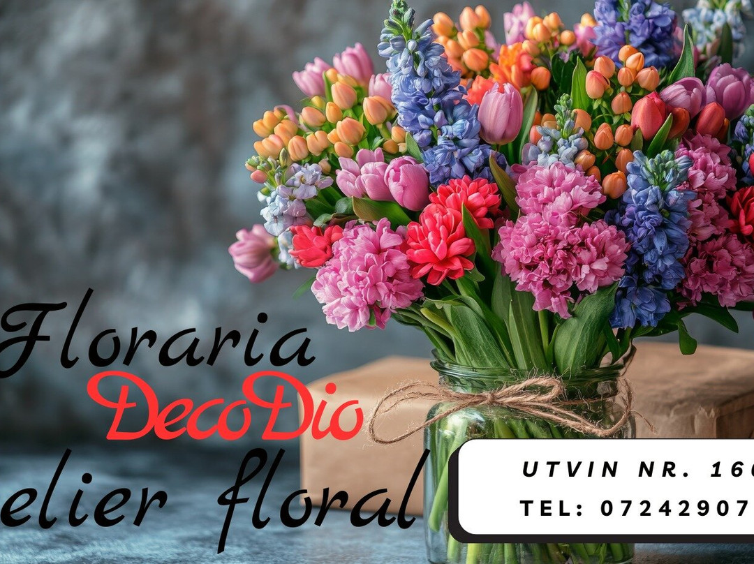 FLORARIA DECO DIO