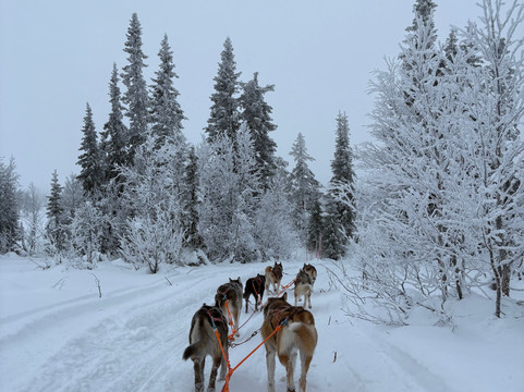 Fjallaventyr-Salen必去景点