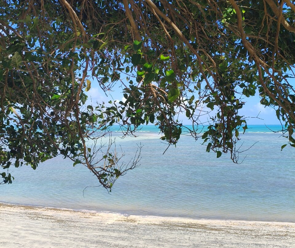 Praia Das Barreiras-Japaratinga必去景点