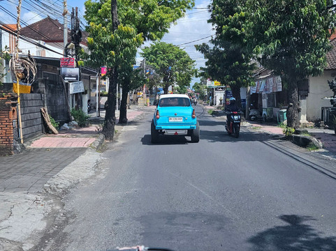 Bali Driver Tour-登巴萨必去景点