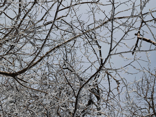 Jeju 1100 Altitude Wetland-西归浦市必去景点
