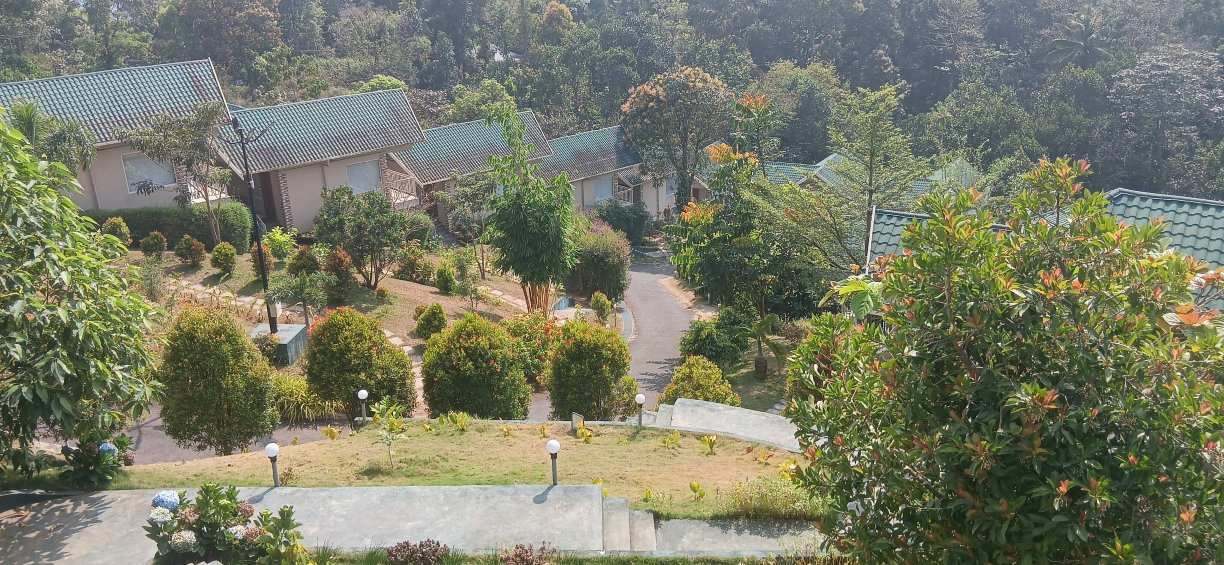 Aveda Mountains And Mist - Munnar-官方