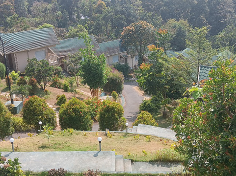 Aveda Mountains And Mist - Munnar主图