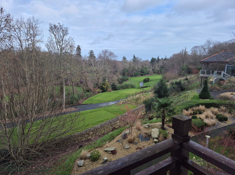 德鲁伊兹格林度假酒店主图