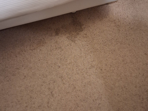 新罕布什尔州斯帕霍斯酒店主图