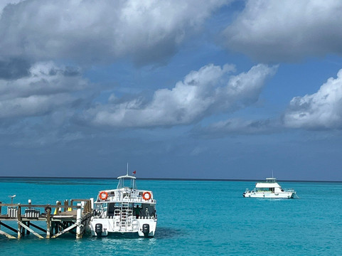 Only Blue Diving Dreams-Cockburn Town必去景点