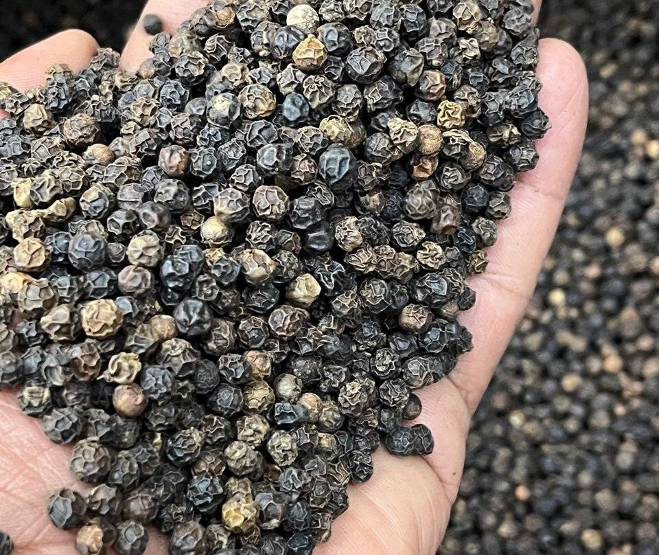 Green Land Spice Garden-帖可迪必去景点