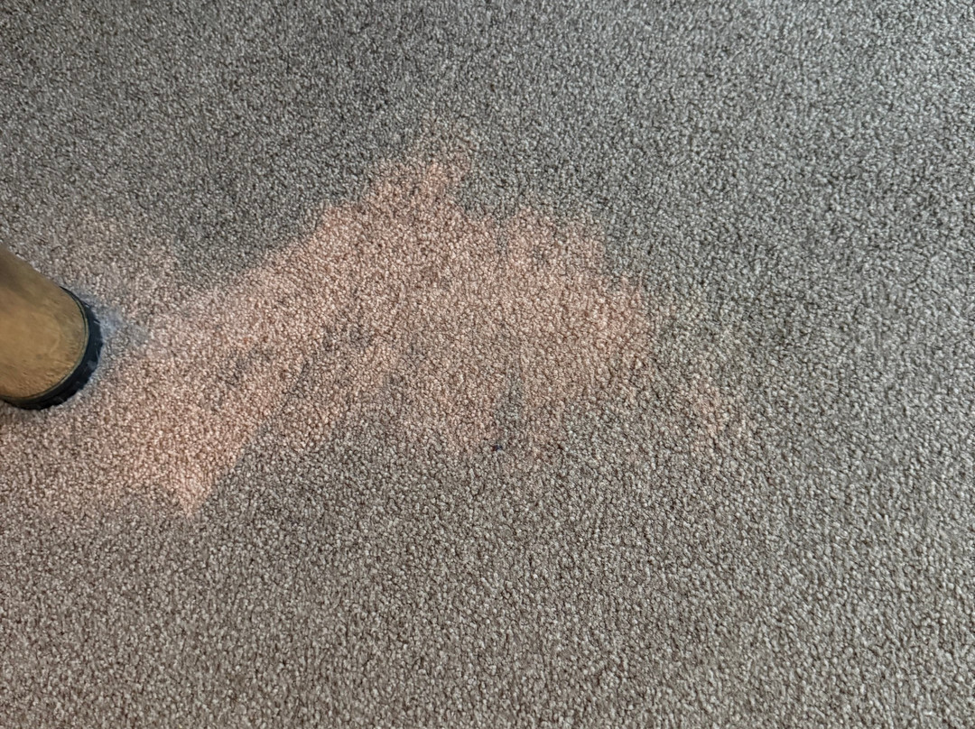 Gästehaus Alte Schule主图