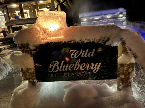 Wild Blueberry-罗瓦涅米必去景点