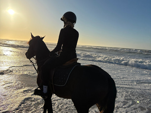 Ranch Des Dunes-达赫拉必去景点