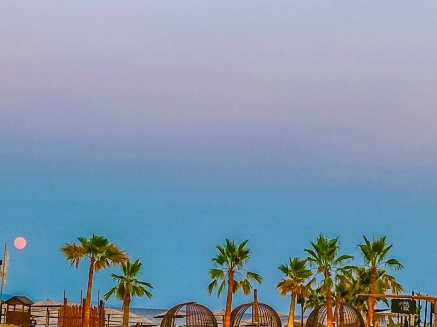 Paloma Beach Bar-Paralia Eleochoriou必去景点
